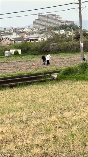 雨降る前のウォーキング🚶‍♀️ダン