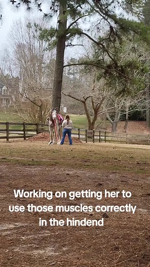 Effective Hill Work Techniques for Heavy Horses