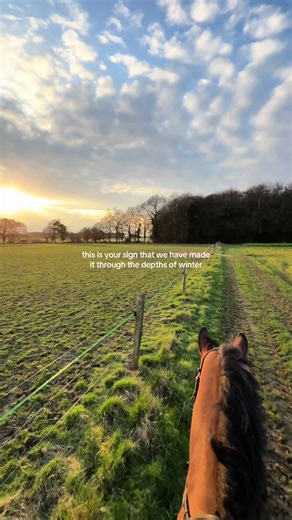 Winter is over. Bring on an equestrian summer 🐎🌞 #equestrian #equestriansummer #horsetok #horsesoftiktoktok #equestrianlife