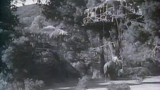[WwW.VoirFilms.org]-Tarzan S'Évade (3_12).TrueFrench.Johnny.Weissmuller.1936.Xvid.Freek911
