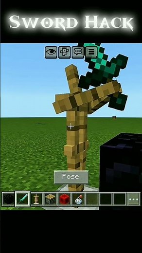 Minecraft Sword hack #viral #gaming