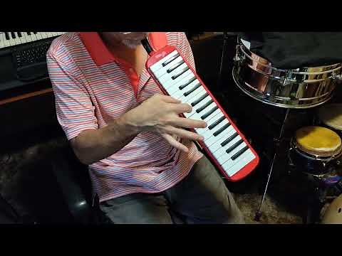 Stagg Melodica Performance