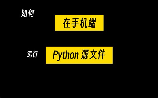 手机端，如何运行Python源文件