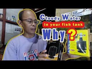 Sponge Filter and Air pump efficiency for Beginners, Intermediate and Pro Hobbyist