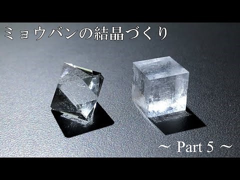 ミョウバンの結晶づくり part5 (晶相変化による立方体結晶の育成) | How grow alum crystals part5 (cubic crystals by habit change)