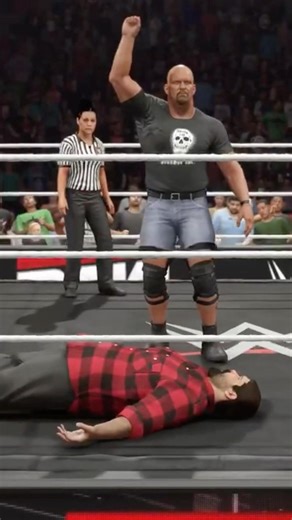 WWE STONE COLD ATTACKS MICK FOLEY