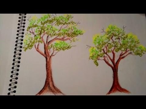 How to draw simple tree using oil pastels