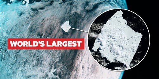 How the world changed in 2025