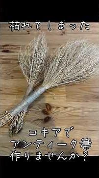 【手作り】コキアで箒作りたいな〜#植物 #plants #オタク #おすすめ #コキア #ハンドメイド #手作り #植物のある暮らし #観葉植物のある暮らし #多肉植物のある暮らし