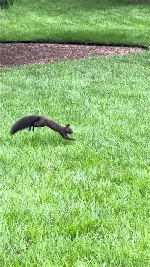 #travel #الشعب_الصيني_ماله_حل