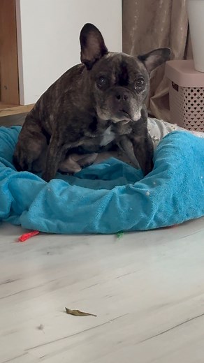 155K views · 2K reactions | Tak się załatwia sprawy  Nie ma. Moje....