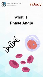 Phase Angle: Your body’s secret health signal! It shows your cell strength and overall wellness. Higher phase angle = better health. Ready to decode your health? | Spec Brite Group