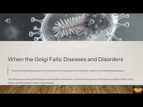Unveiling the Golgi Apparatus: The Cell’s Packaging and Shipping Center