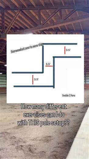 More ground pole exercises for horses! What other exercises or setups would you like to see me try? #horses #horseriding #groundpoles #equestrian | Double Z Farm
