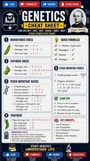 Genetics Cheat Sheet 🧬 | Mendelian Genetics Ratios in One Page |