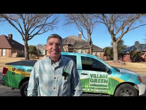 What This Freeze Means for Your North Texas Lawn (Dallas, Plano, Richardson)