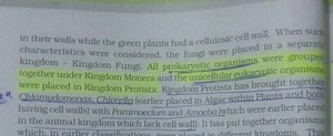 in their walls while the green plants had a cellulosic cell wal... | Filo