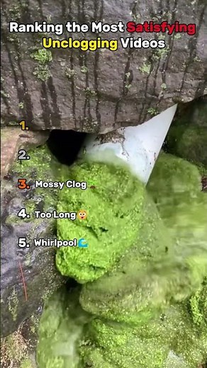 Ranking the Top Most Satisfying Unclogging Videos