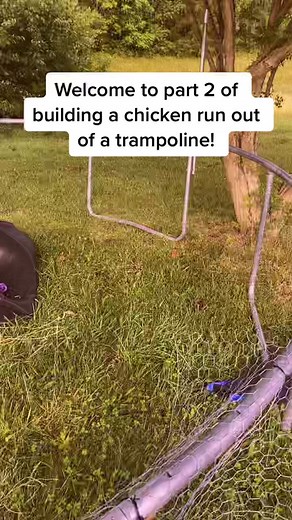 Here’s part 2 of our chicken coop made out of only recycled items and nugget approval #chicken #chickenfarm #fyp #buildtok #recycle #diy