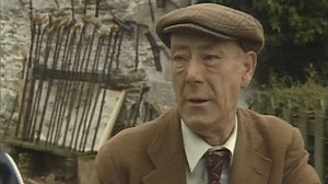 Wicklow Shillelagh Stick Maker