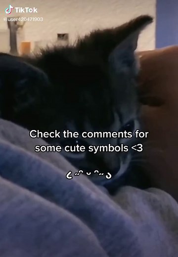 lanie ‹3 on TikTok