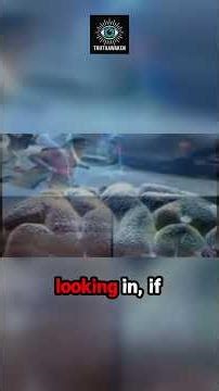 Stop letting the system define your reality. Your inner compass is the target.