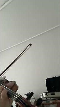 Bach Violin Sonata No. 1 in g minor Presto #violin #bach #practice