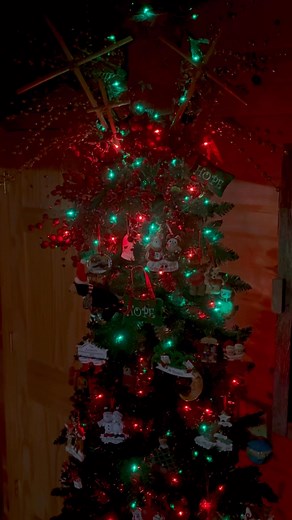 13K views · 843 reactions | I’m still working on this tree, but I am LOVING the red and green Vintaglo lights! ❤️ This tree has 32 years of a ‘special’ ornament from each year! So many memories on this one! ❤️ Merry Co. | Old Fashioned Christmas | Facebook
