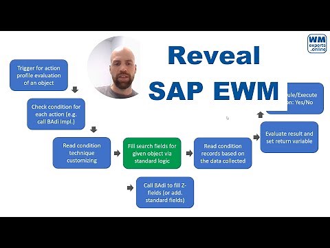 Reveal SAP EWM - Condition record determination for schedule & start conditions of PPF actions