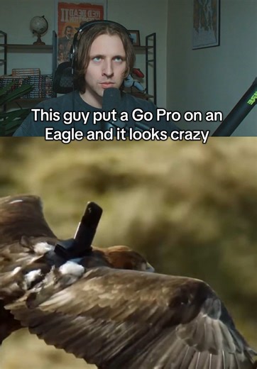 Experience the World Through an Eagle's Eyes