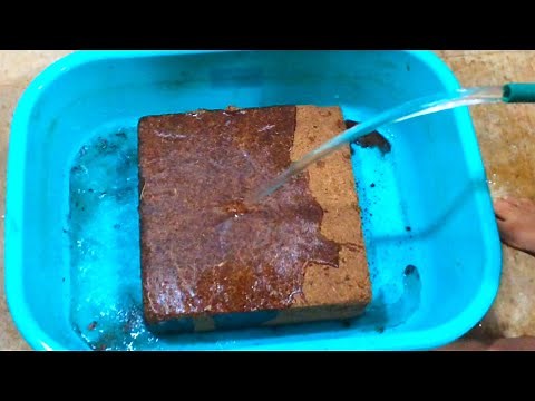 How to expand coco peat block into coco peat || 5 kg