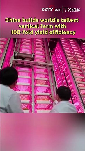 China builds world's tallest vertical farm with 100-fold yield efficiency