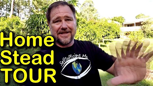 Homestead tour food garden walk around fruit trees vegetable growing vlog