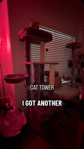 paigey❤️ on Instagram: "ur cats will thank me later💅🏻🫡 #cattower #cattowerreview #cattoys"