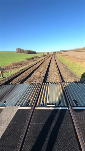 Navigating New Railway Crossings with Horses