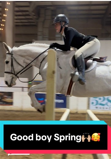 Spring: The Perfect Horse for Equestrian Events