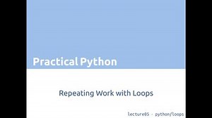 lesson05 python/loops