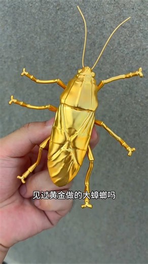 Golden Cockroach Mystery 😱🔥#shorts #shortsfeed