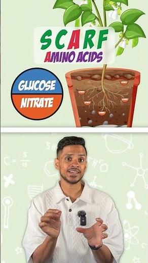 GCSE Biology: Memory Trick | How Plants Use Glucose