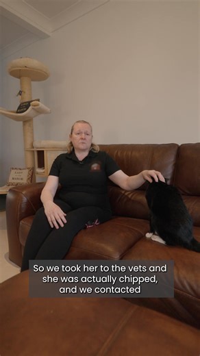 🐶✨ Every encounter is a small miracle. Django and Molly aren't just a cat and a dog. They are companions for life. From a tiny strays to elderly dogs welcomed into the last years of their lives, every adoption tells a unique story of courage, trust and love. Through the Companion for Life initiative, Almo Nature supports the associations that make these encounters possible, helping those who work every day to give dogs and cats a second chance. 💛 Vote for the most deserving projects by 22nd Oc