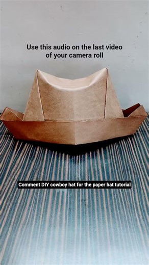 DIY Cowboy Hat