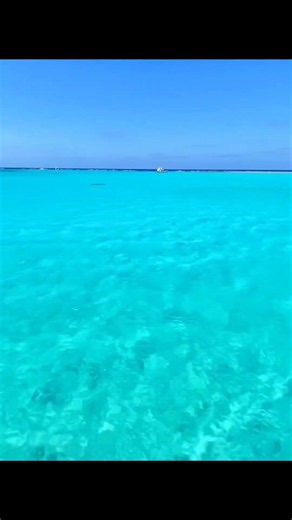 🌊 مرسى مطروح.. أجمل بحر في مصر؟ 😍🇪🇬