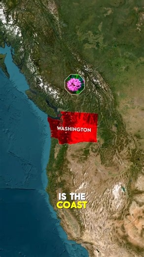 interesting facts about Washington #Washington #USA | Wonder Explorers