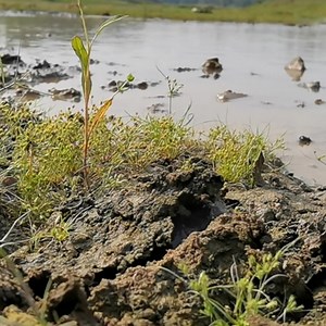 Wow really amazing big stuck fish catching form river side dry place underground. best 2025 fishing video | Catch Fish With ET