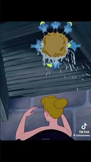 cinderella sponge shower