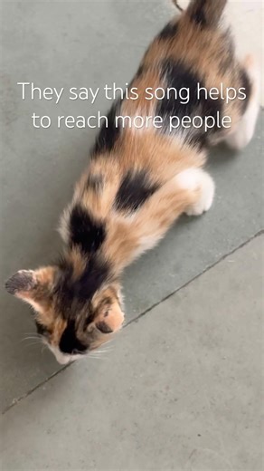 One million views #trending #shorts #viral #viralvideo