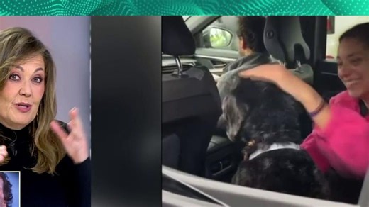 Así ha sido el rescate del perro Boro en Adamuz