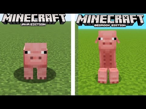 17 Java Vs Bedrock Differences