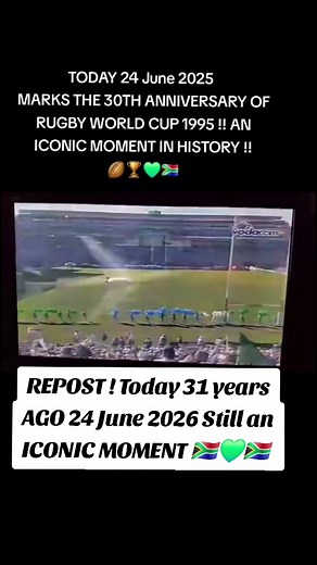 24 June 1995 Rugby World Cup iconic moment — 31 years on
