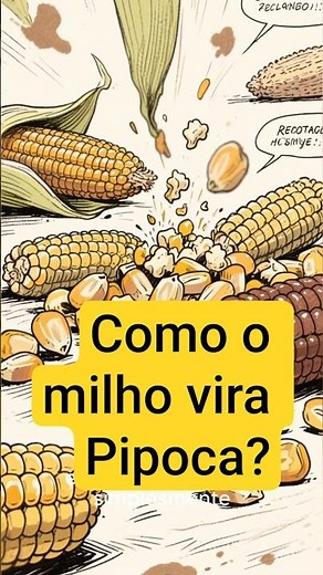 Como o MILHO vira PIPOCA? Por trás da física e química
